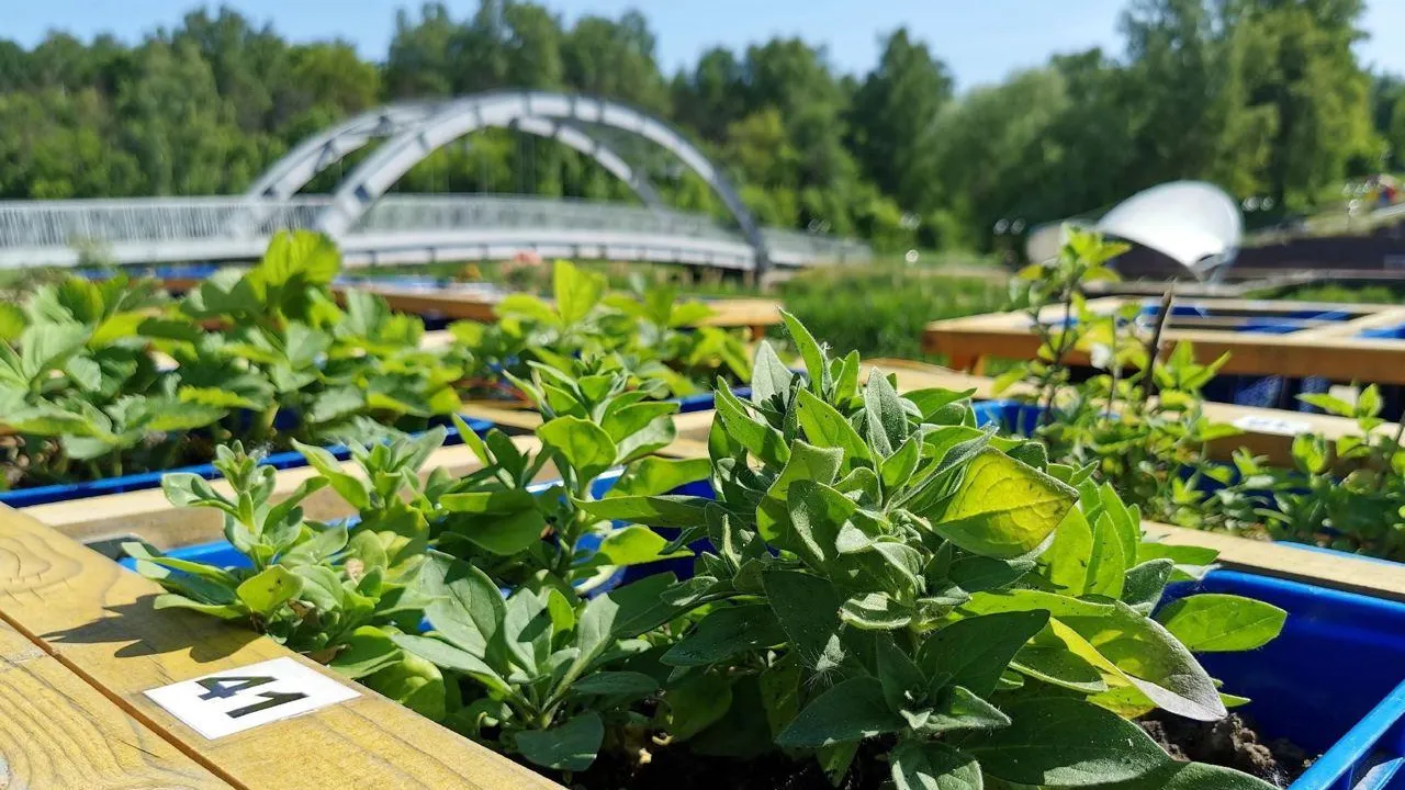 Министерство культуры и туризма МО