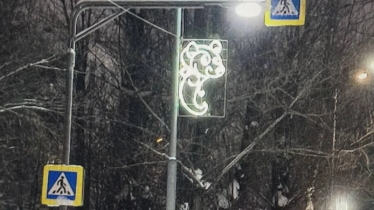 Морозный медведь, креветка или рыбка? Инсталляция к 2026 году разделила мнения балашихинцев