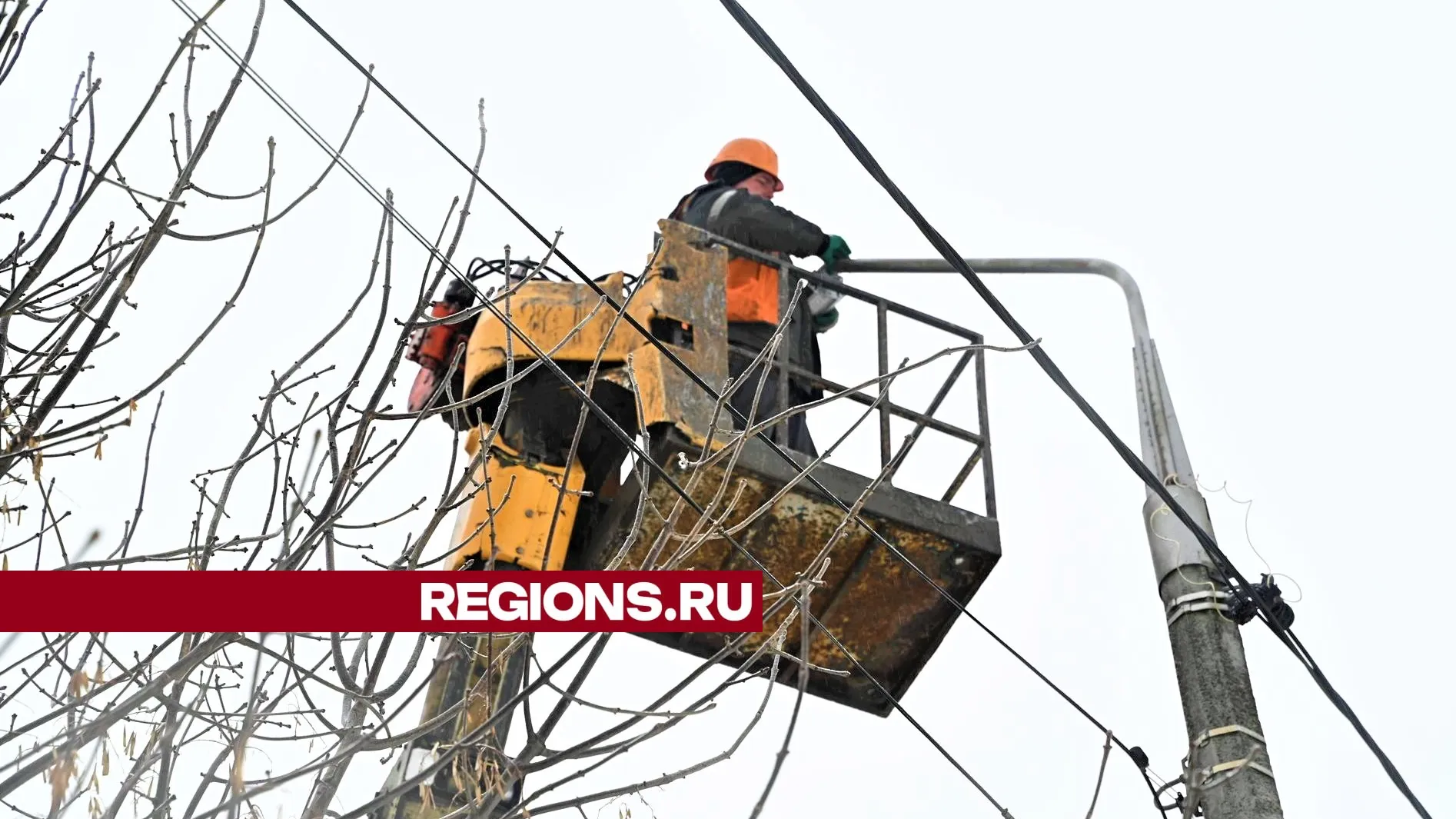 Фото: Владимир Думчев