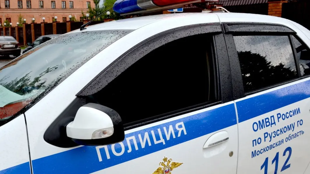 Фото: t.me/ruza_police