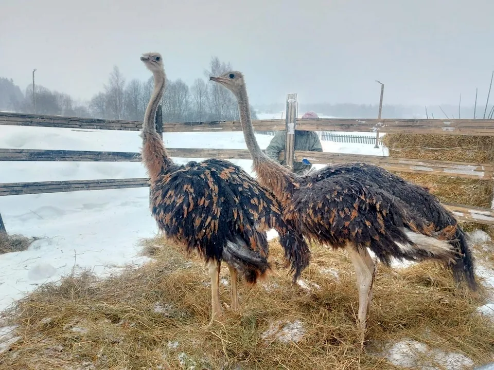 Фото: из личного архива Игоря Дубова