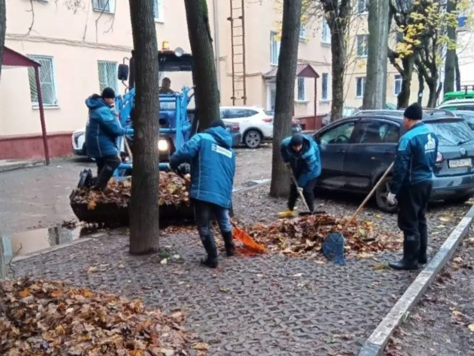 Фото: пресс-служба администрации г. о. Подольск