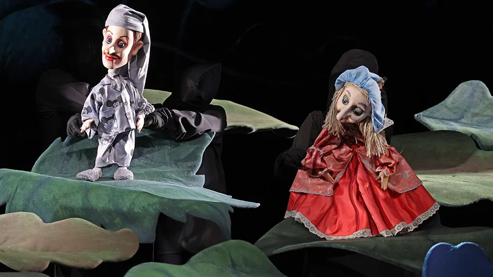 Фото: ТАСС/Егор Алеев