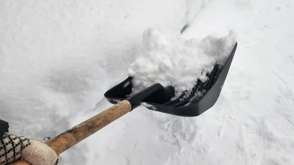 Фото: МедиаБанк Подмосковья/Евгения Герасимов