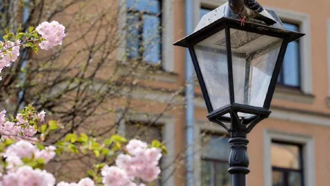 Стало известно, когда в Петербурге откроется визовый центр Китая