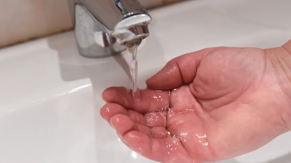 Фото: медиасток.рф