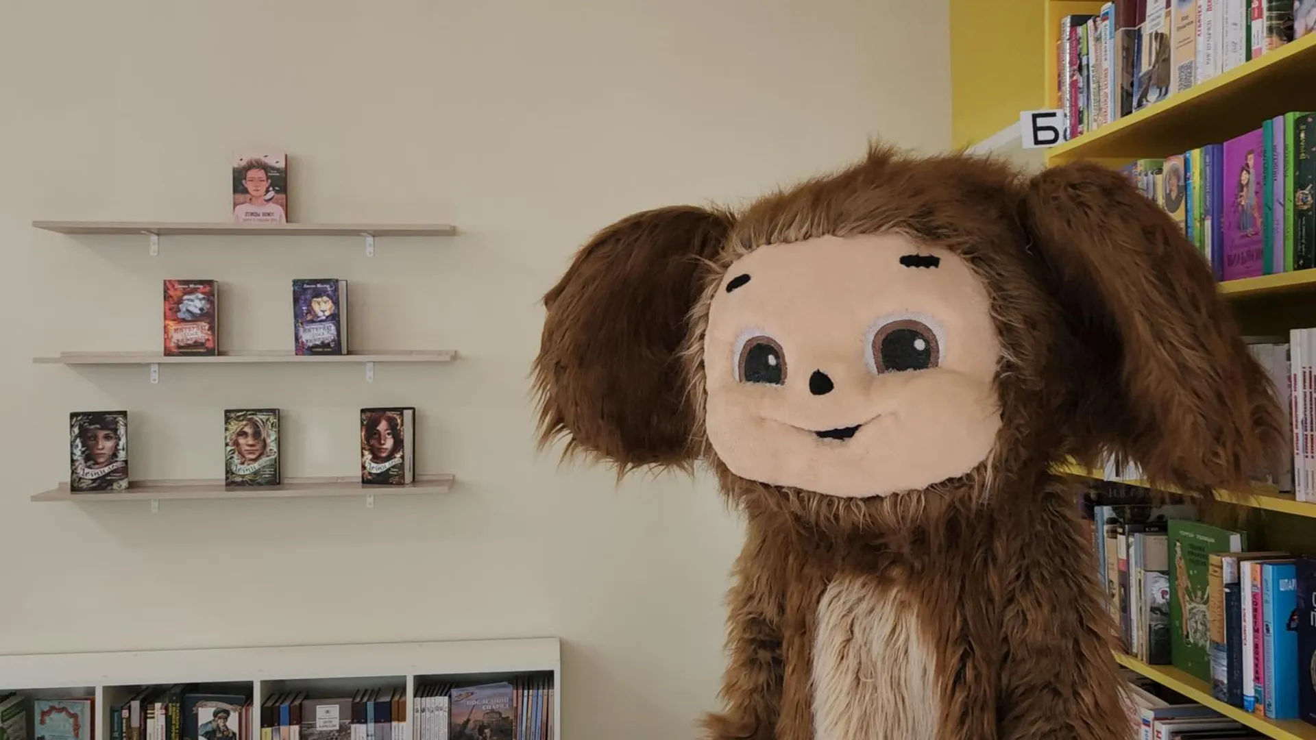 Фото: МедиаБанк Подмосковья/Юлия Скавронова