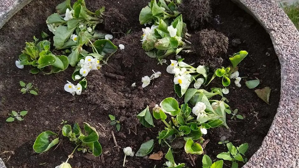 Фото: vk.com/Наталия Зюзина