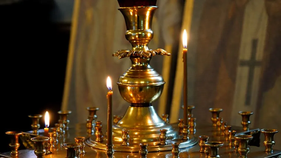 Фото: REGIONS/Анна Быкова