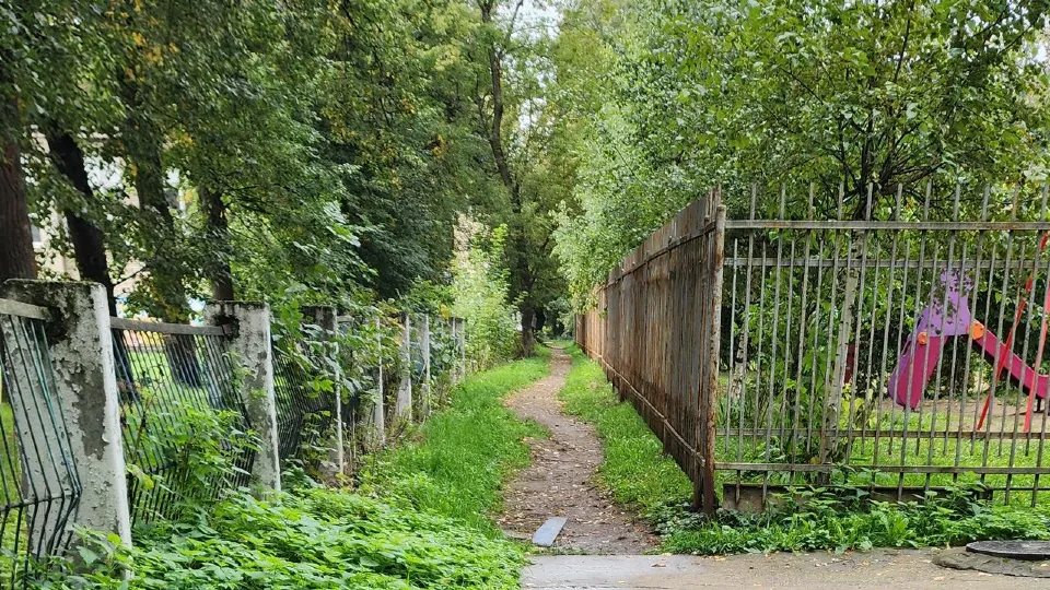 Фото: Нина Басистая