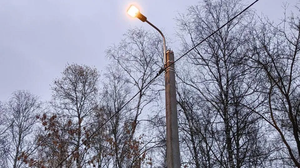 Фото: Министерство благоустройства Московской области