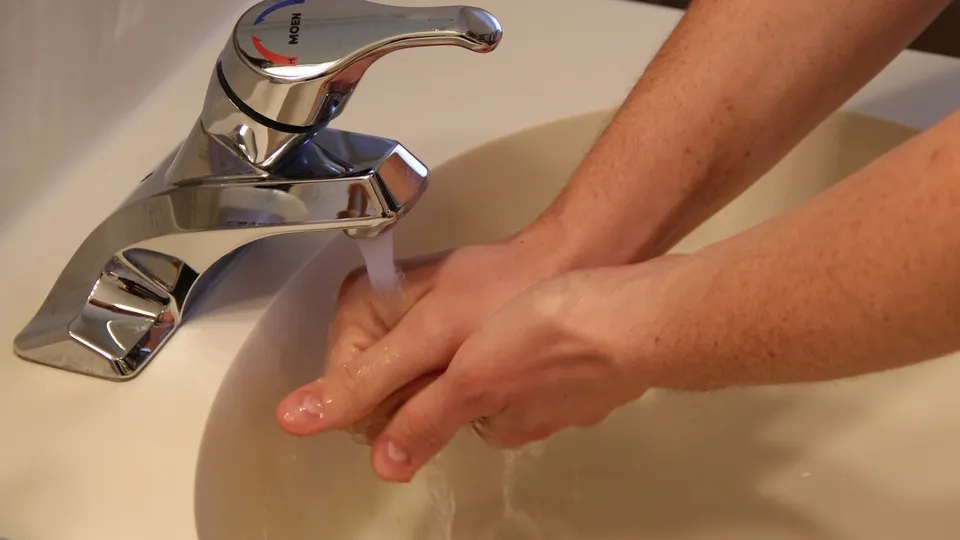 Фото: Медиаархив Подмосковья