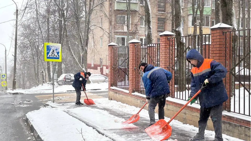 Фото: t.me/Krasnotsvetov_MV