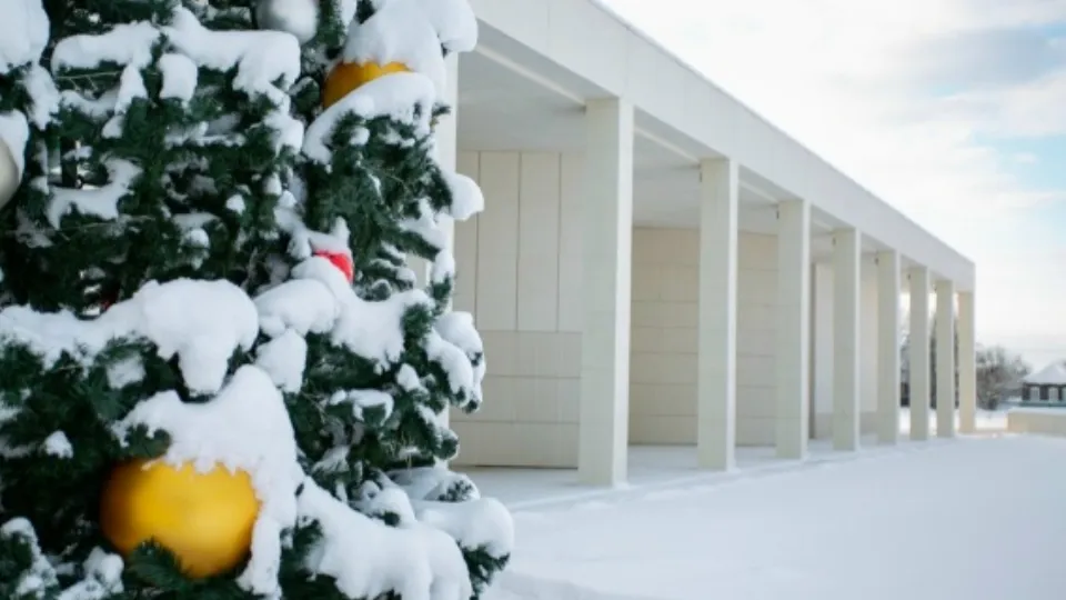 Фото: vk.com/Музей Зои Космодемьянской