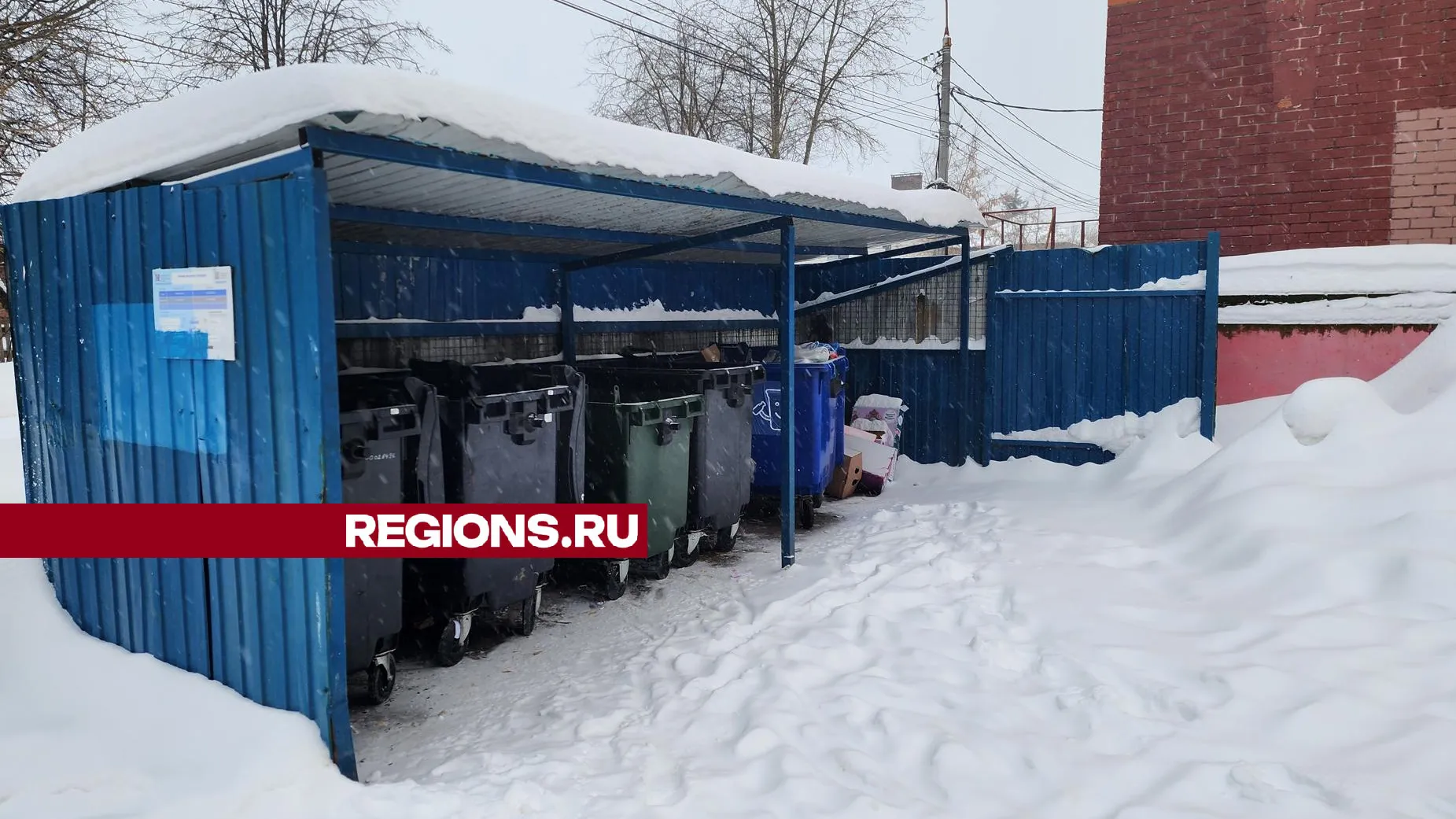 Фото: Галина Добрынина