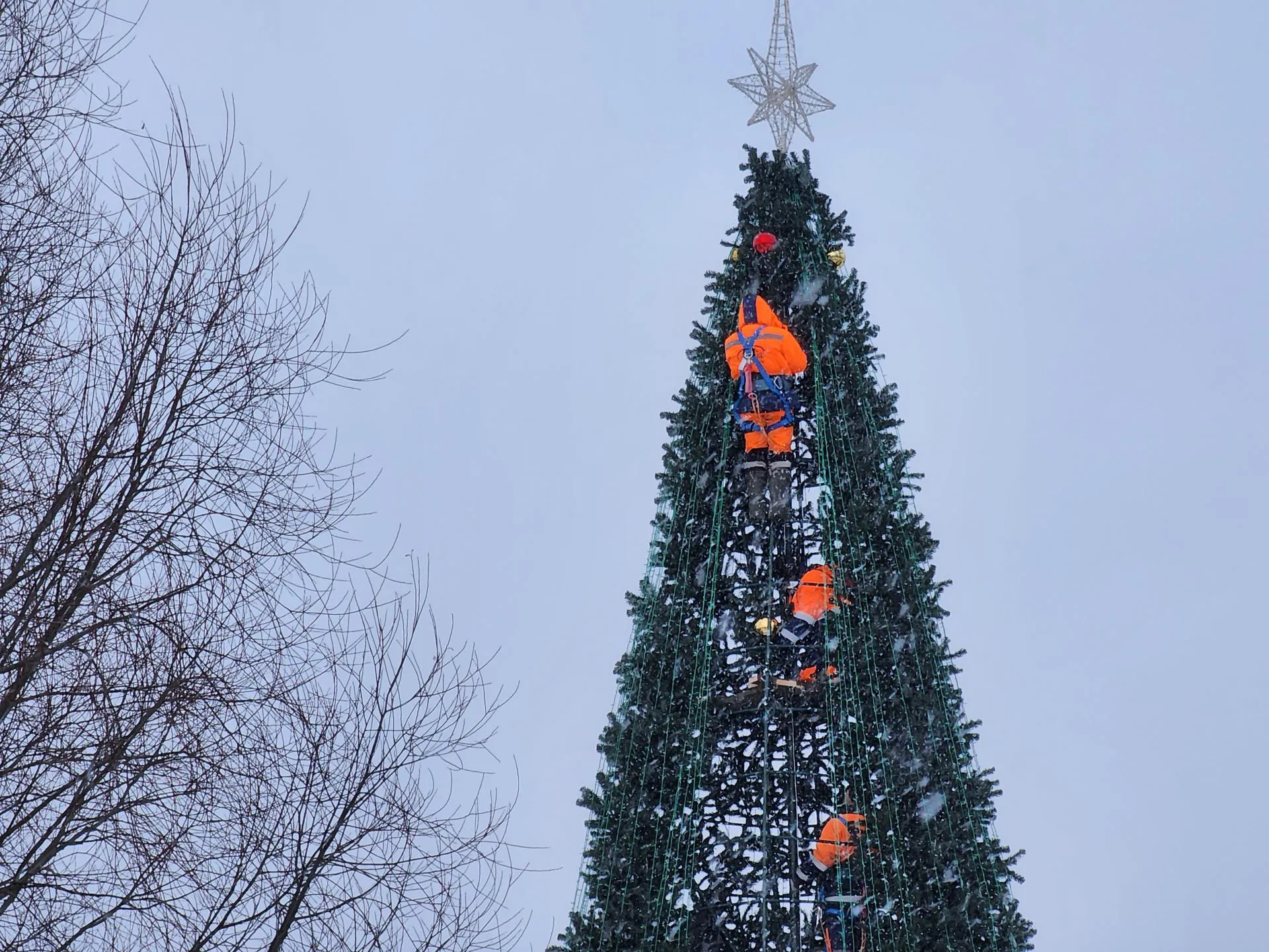 Сморкалов Никита