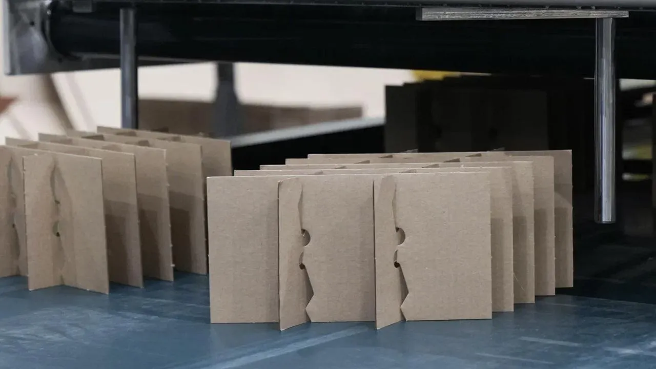 пресс-служба губернатора и правительства Московской области/Екатерина Агеева