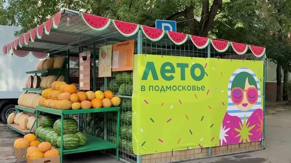 Фото: МедиаБанк Подмосковья/Ксения Казакова