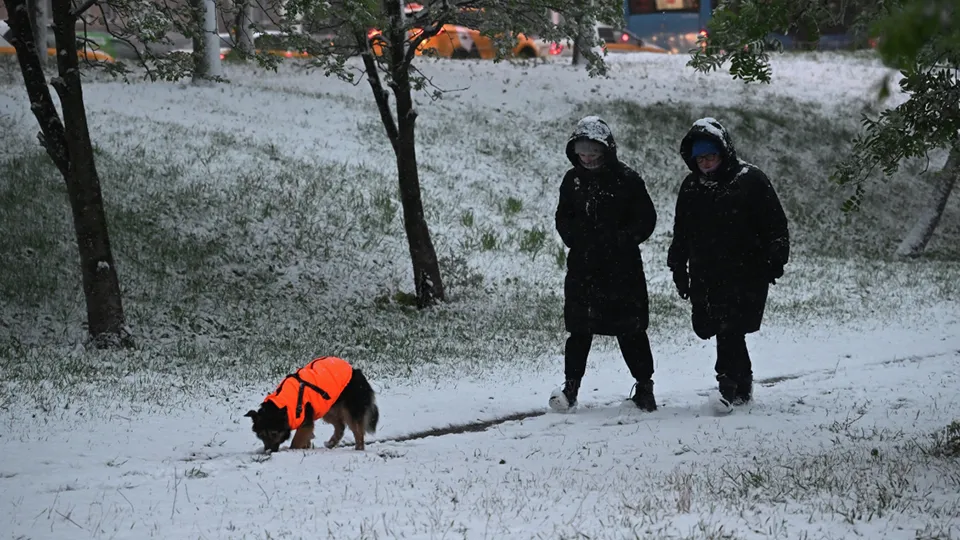 Фото: РИА Новости/Владимир Федоренко