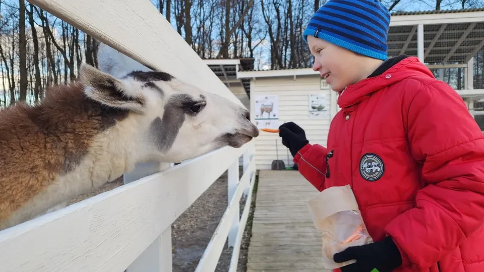 Фото: МедиаБанк Подмосковья/Валерия Тингаева