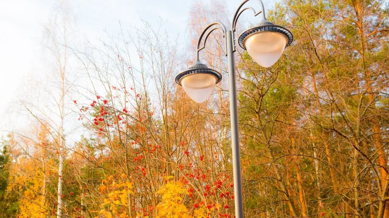 Министерство благоустройства Московской области