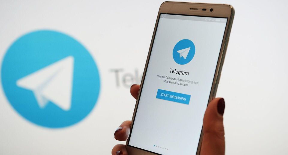 Автор стикеров для Telegram-канала Захаровой рассказала, как создавала их