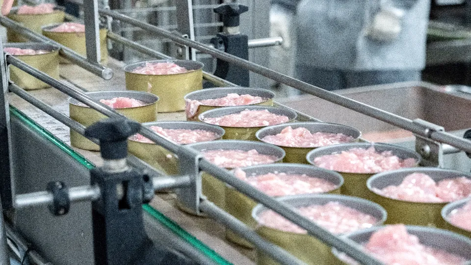 Фото: МедиаБанк Подмосковья/Александр Щербаков