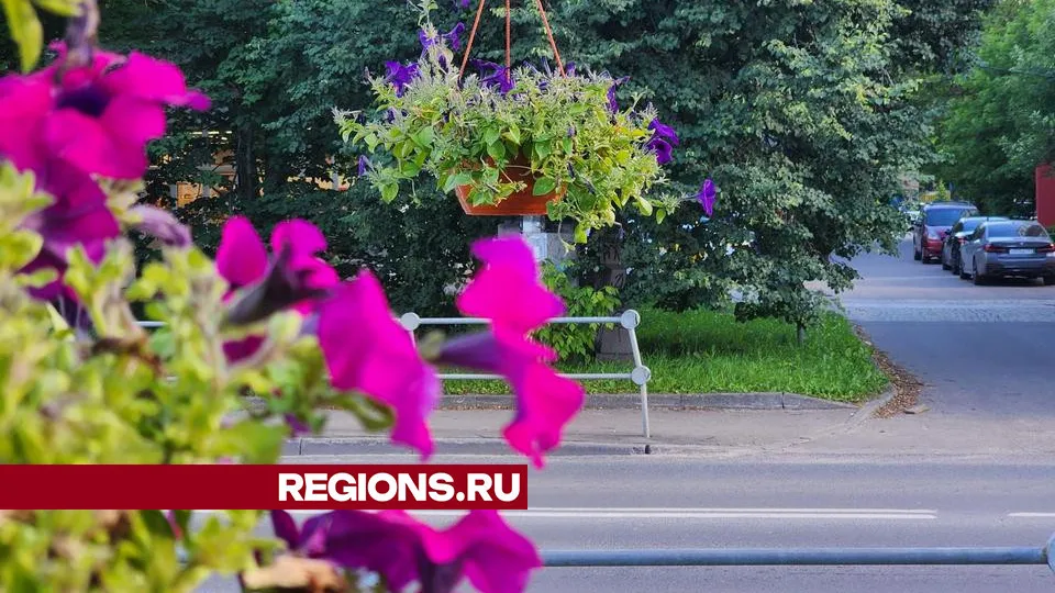 Фото: REGIONS/Михаил Раскин