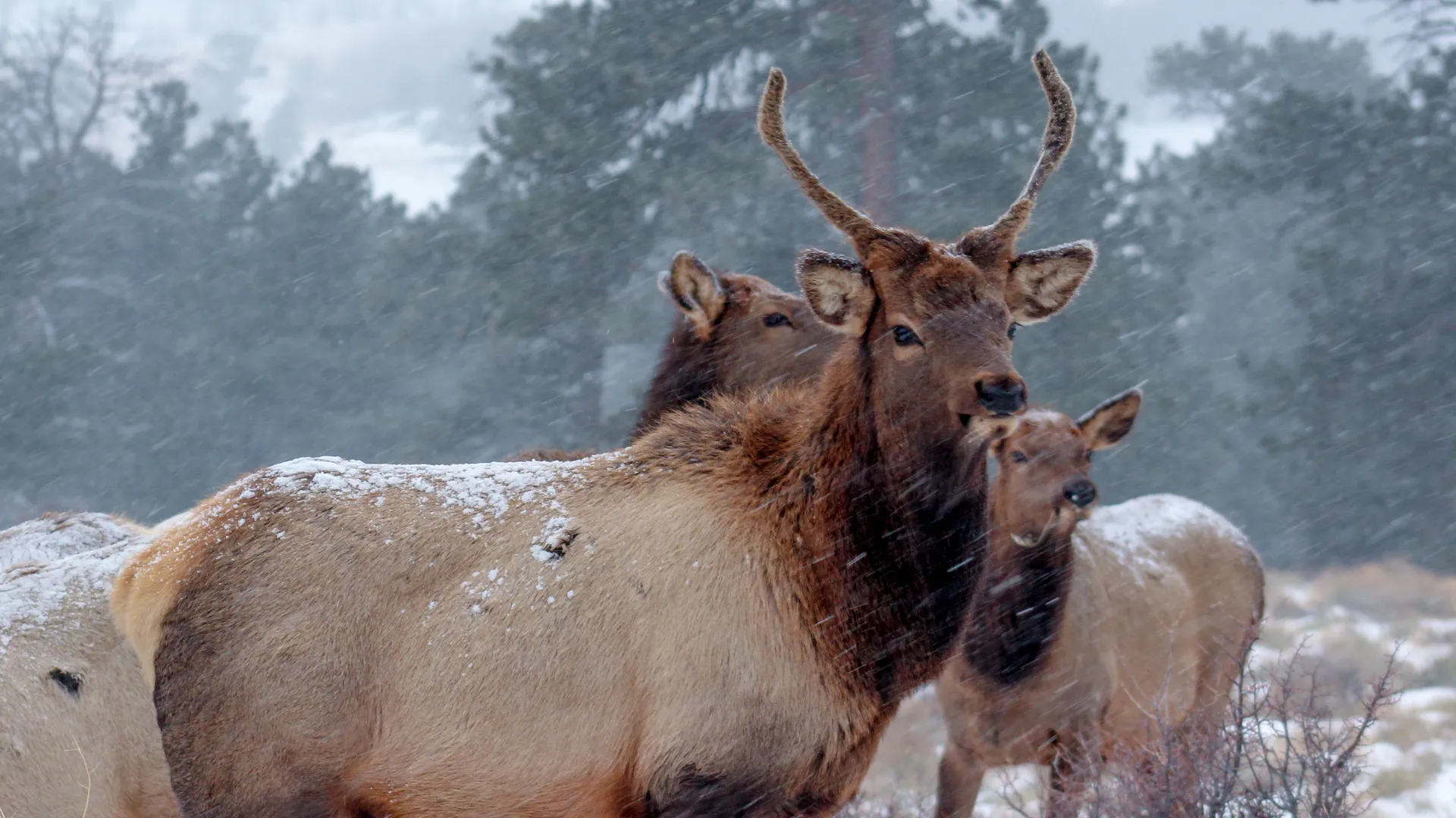 Фото: pxhere.com