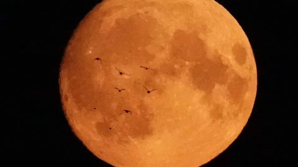 Фото: МедиаБанк Подмосковья/Дарья Леонова