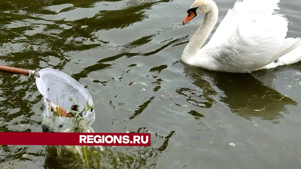 Фото: Дарья Леонова