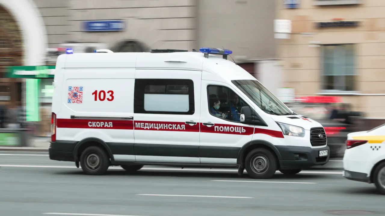«Откуда вообще они наползли»: жители Подмосковья пожаловались на нападения ядовитых змей