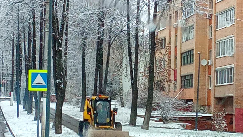 Фото: МедиаБанк Подмосковья/Екатерина Мелкозерова