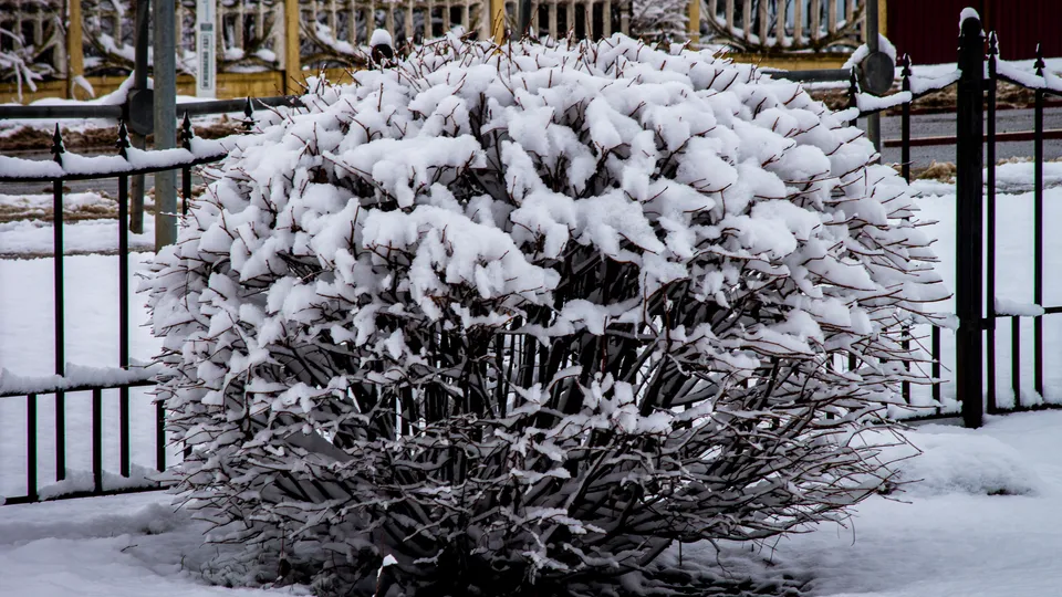 Фото: REGIONS/Дарья Кургузова