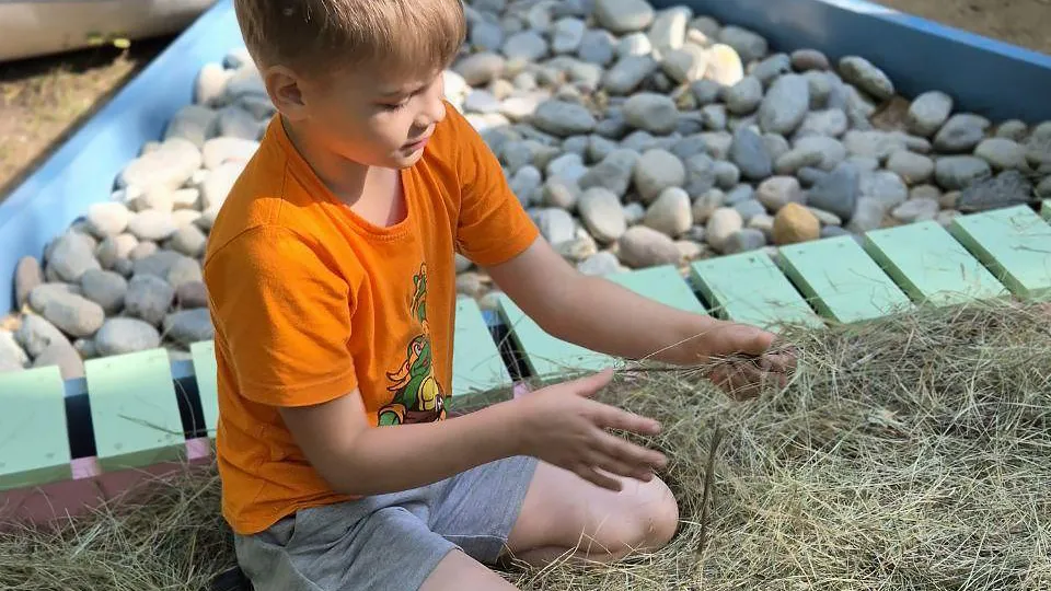 Фото: пресс-служба Минздрава МО