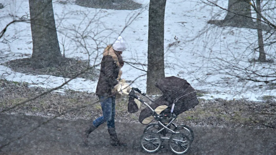 Фото: медиасток.рф