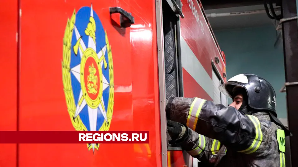 Фото: REGIONS/Василий Тремасов