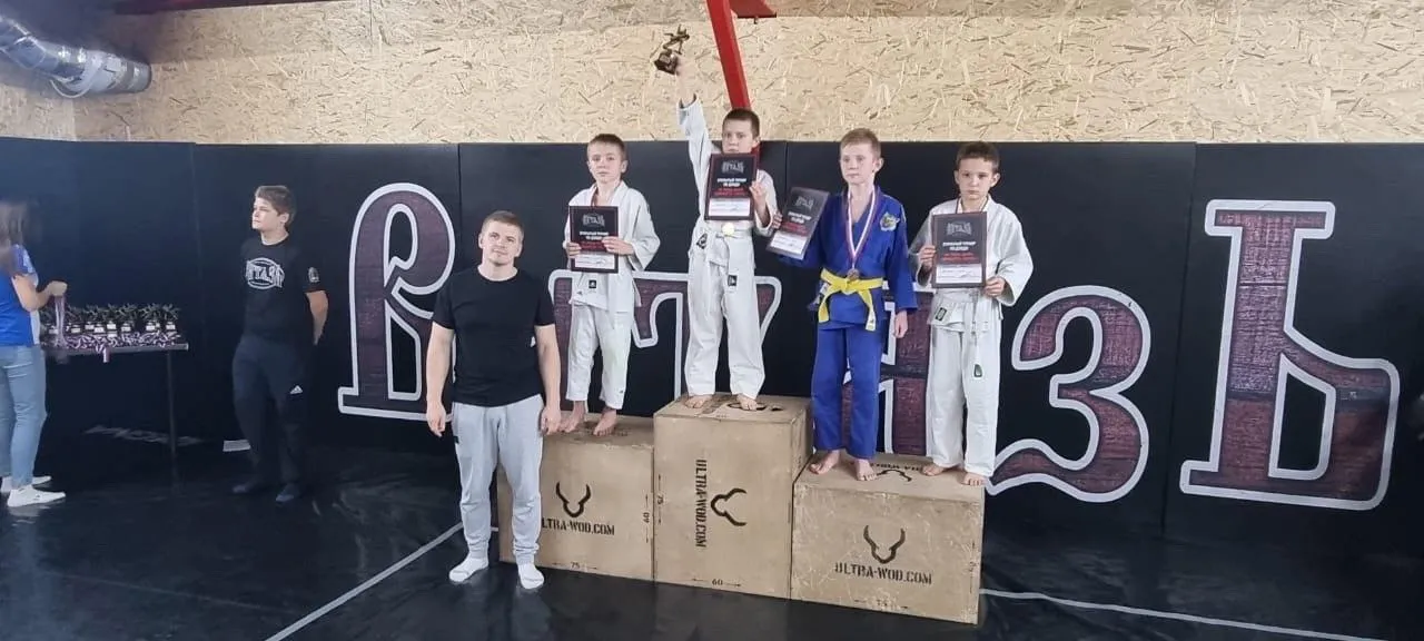 Источник: Центр единоборств «Витязь»