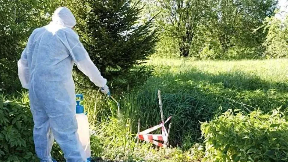 Фото: t.me/minselhozmo