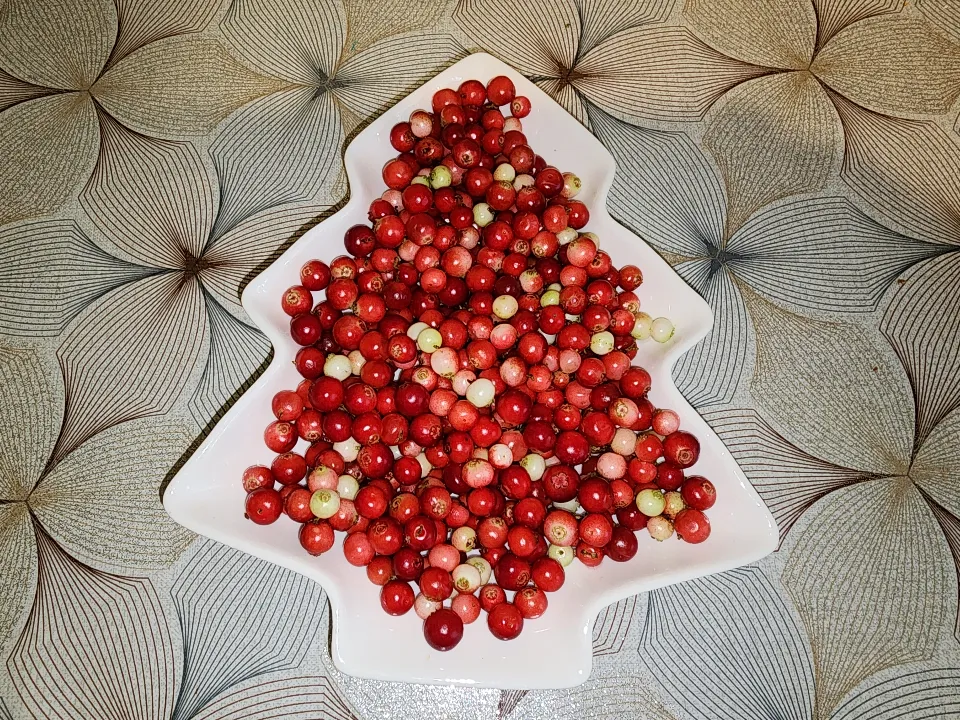 Фото: Михаил Мартыненко