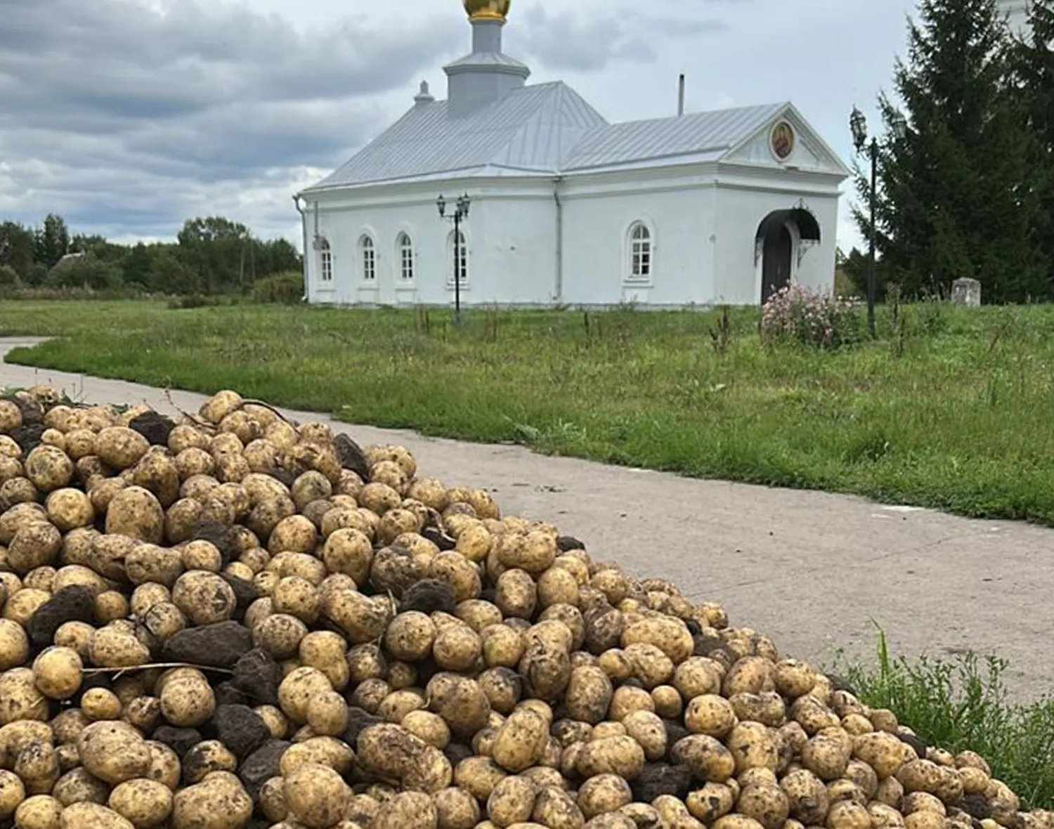 Фото: пресс-служба администрации м.о. Зарайск