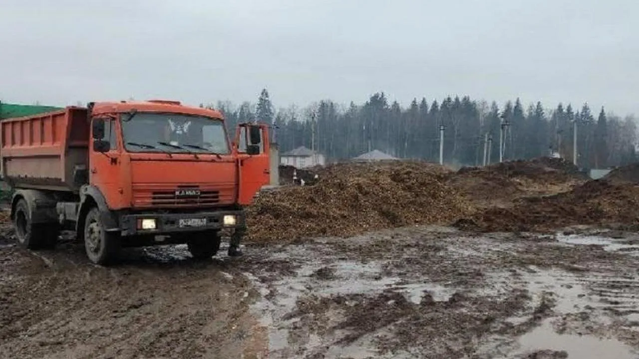 Фото: Пресс-служба министерства экологии и природопользования Московской области