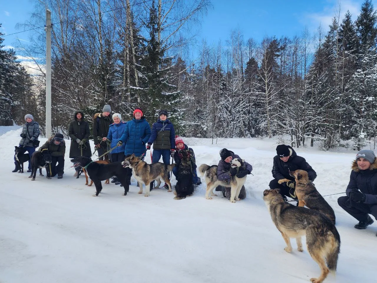 Источник: "Гражданская активность" МОУ СОШ №9/ВКонтакте