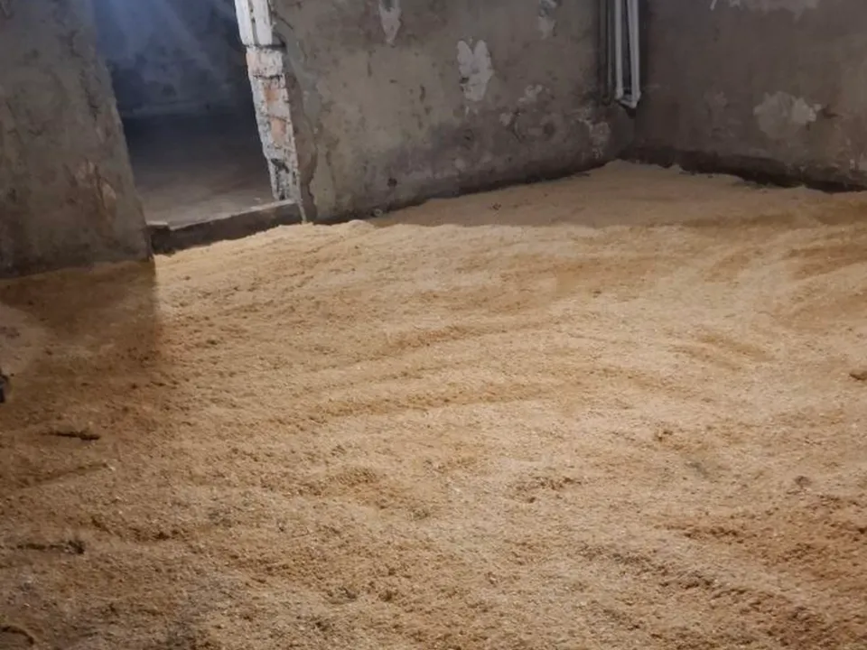 Фото: МЦУР Жуковский