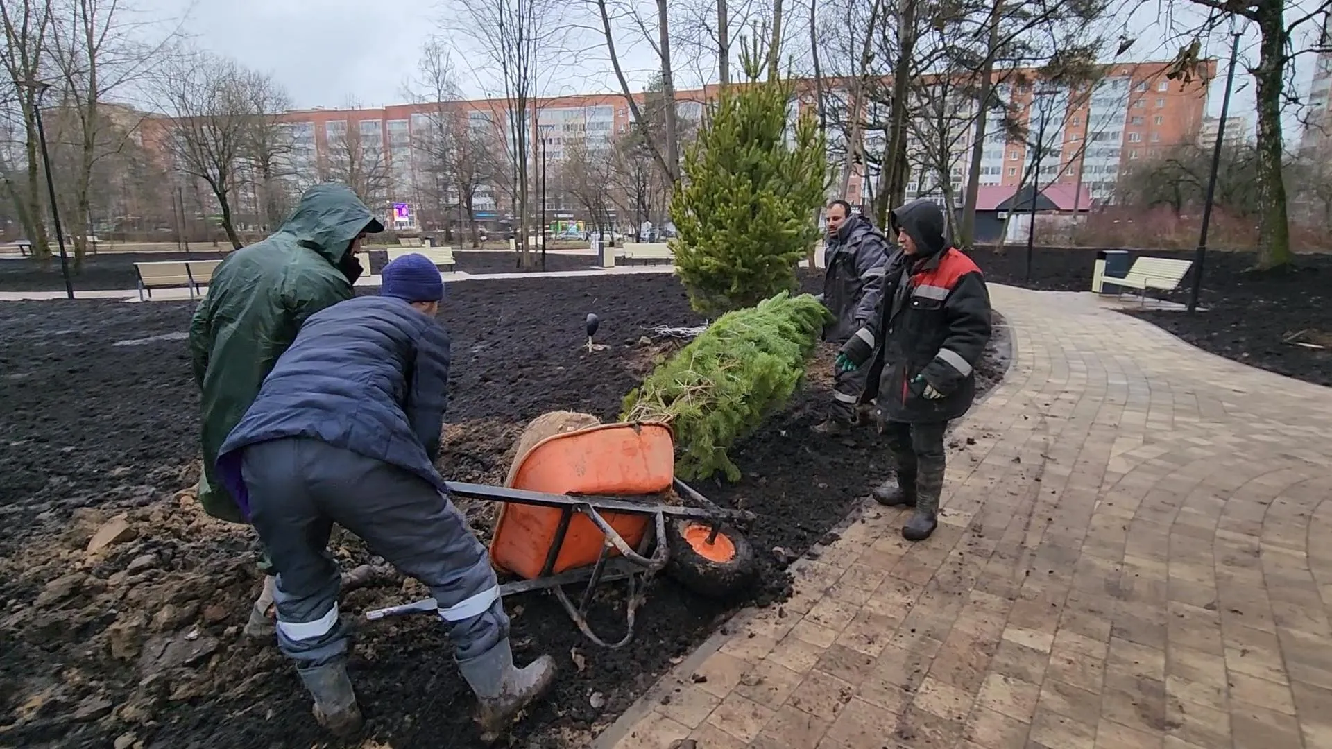 Фото: Никита Сморкалов