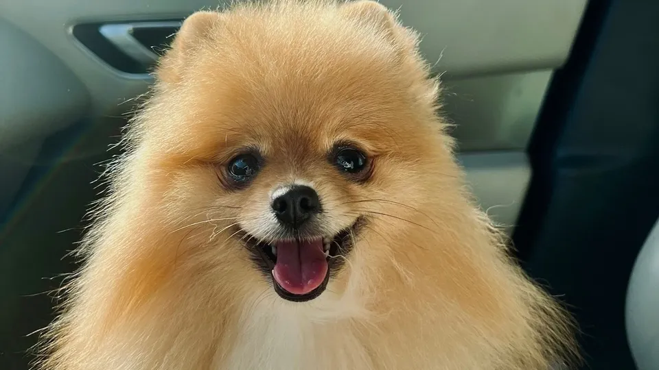 Фото: Елизавета Данилова