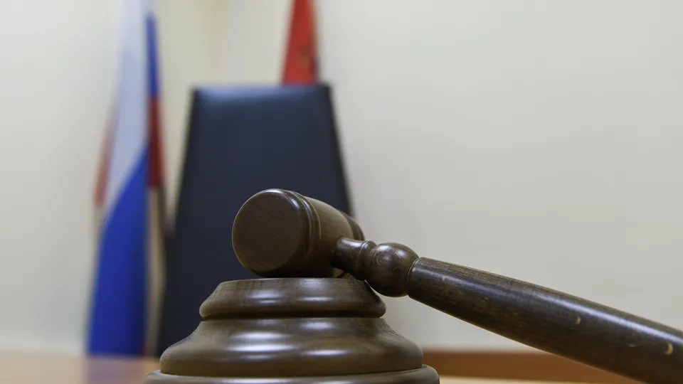 Фото: МедиаБанк Подмосковья/Николай Корешков