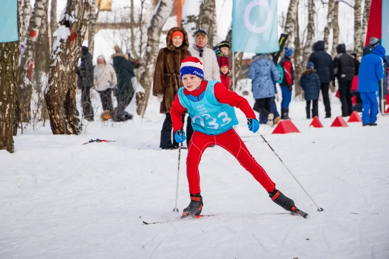 Фото: министерство благоустройства Московской области