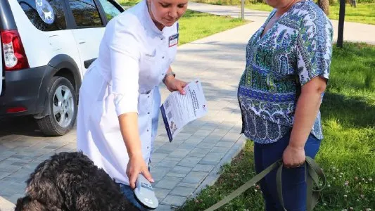 Фото: пресс-служба администрации Наро-Фоминского г.о.