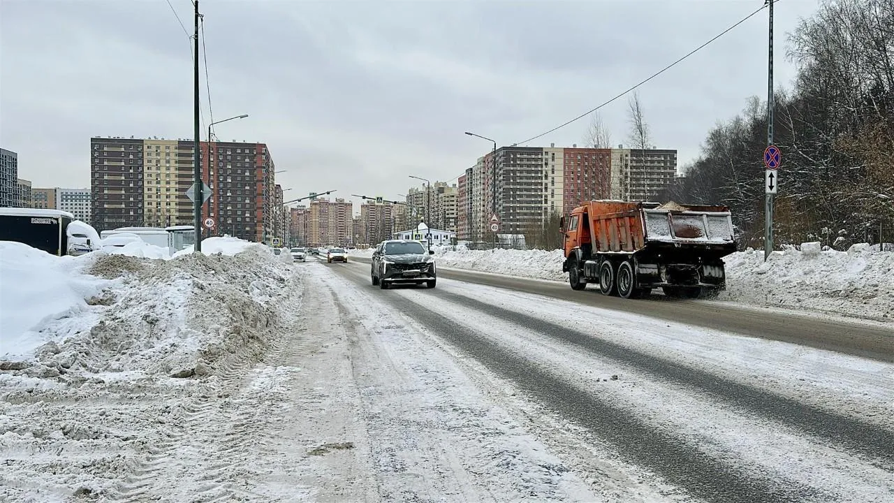 REGIONS/Кристина Тришина